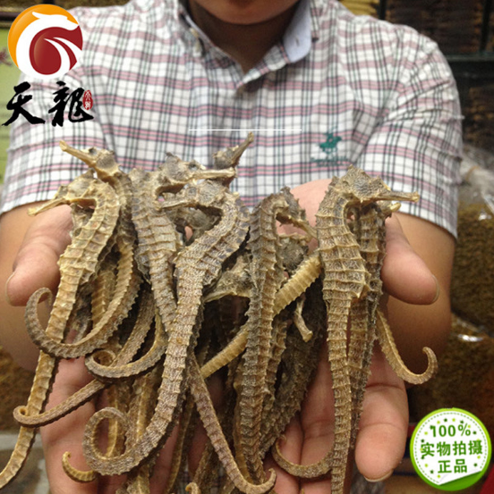 гиппокамп сухой-1.png